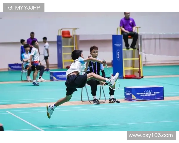 深圳羽毛球队在羽毛球状态排行榜中荣登第8名展现强劲实力与潜力