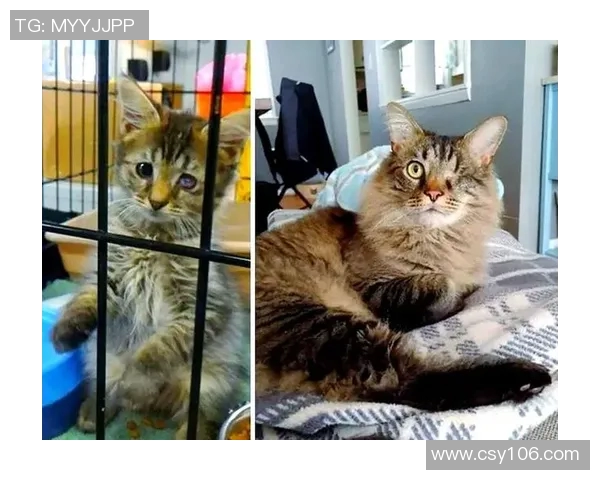 吴芳专访:从街头到舞台的华丽转身与心路历程回顾 吴芳专访:从街头到舞台的华丽转身与心路历程回顾