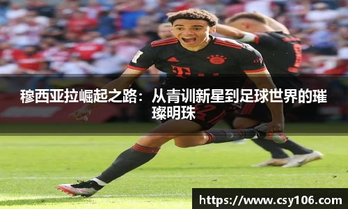 华体会