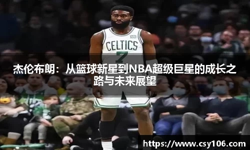 华体会平台