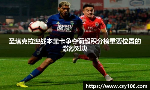 华体会