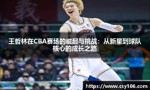 华体会平台